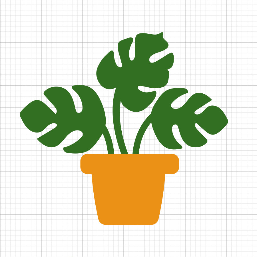 Monstera Plant SVG