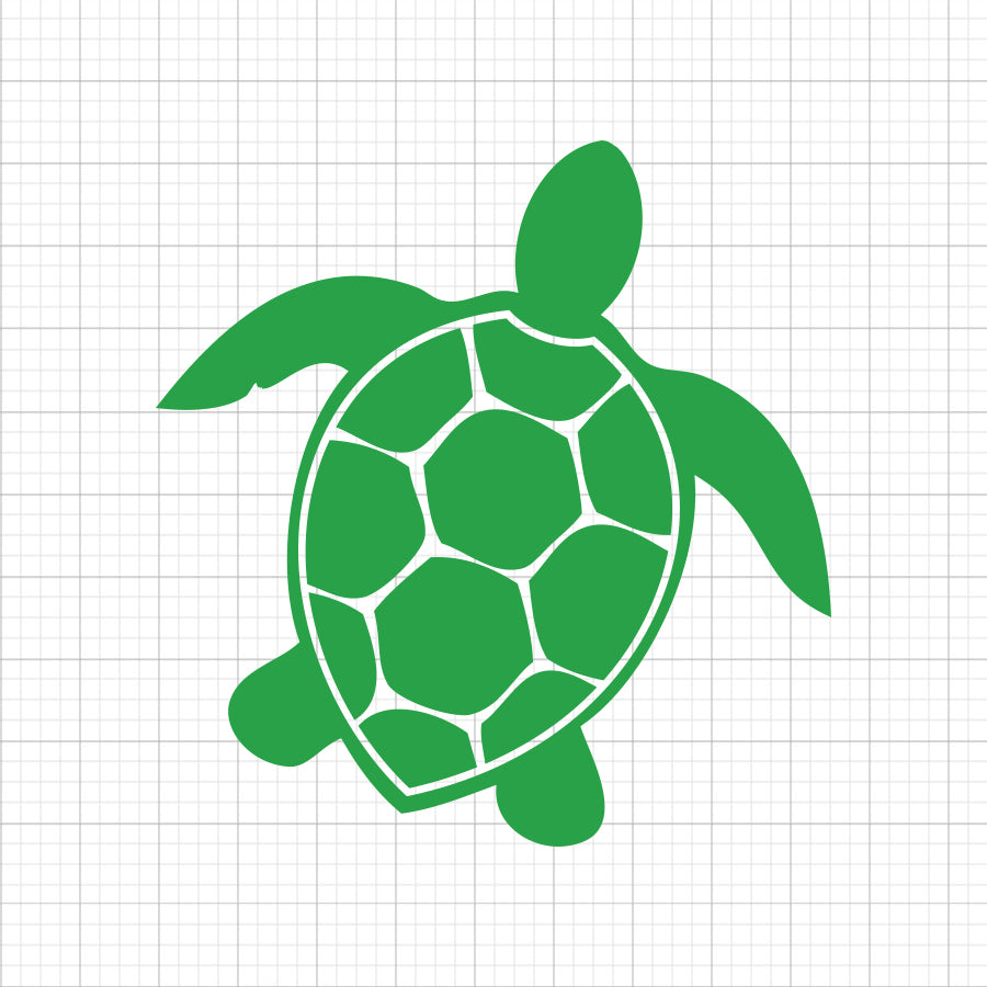 Turtle SVG