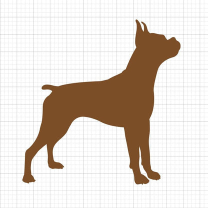 Boxer SVG
