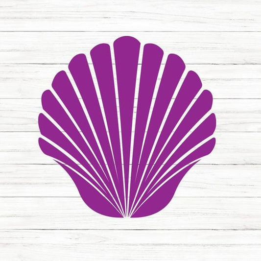 Seashell SVG